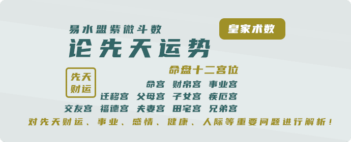 紫微斗数在线排盘